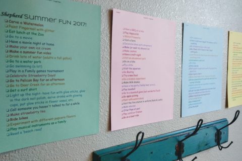 Shepherd Summer Bucket List