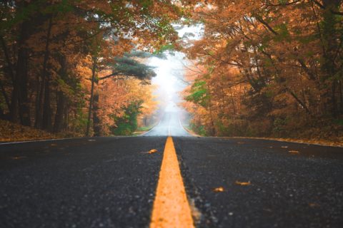 Foolproof ways to avoid road trip hell (from someone who has made all the mistakes).